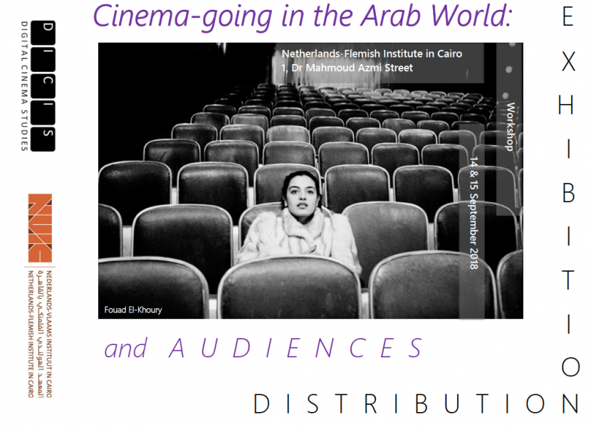 Nour El-Safoury in Cimatheque's conference at the Netherlands-Flemish Institute on MAPPING CINEMA AUDIENCES: EGYPT