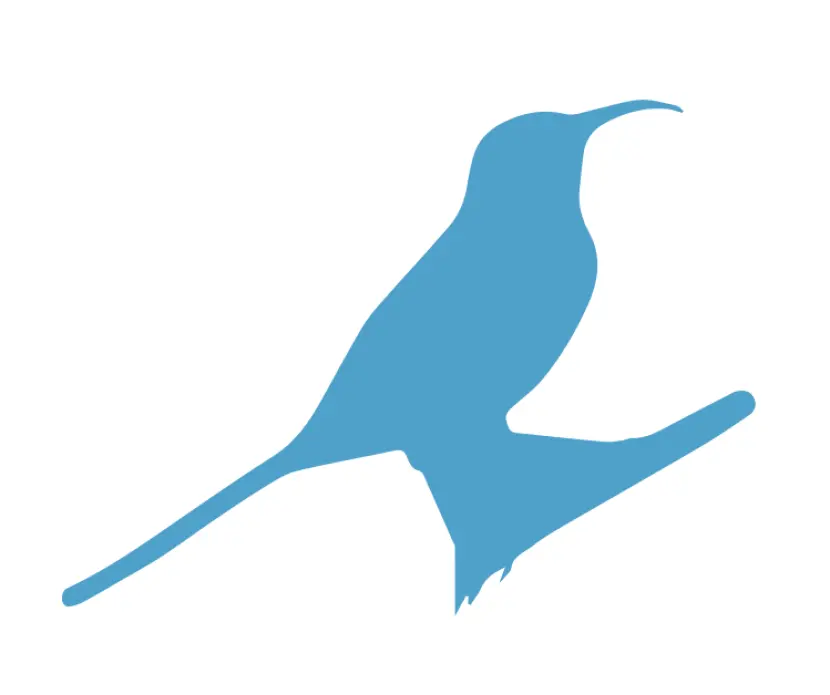 Filmlab: Palestine (FLP) announces developments and updates for the upcoming fifth edition of Palestine Cinema Days